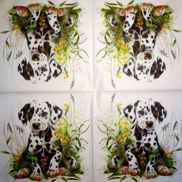 915 Dogs - 3-ply - Specials